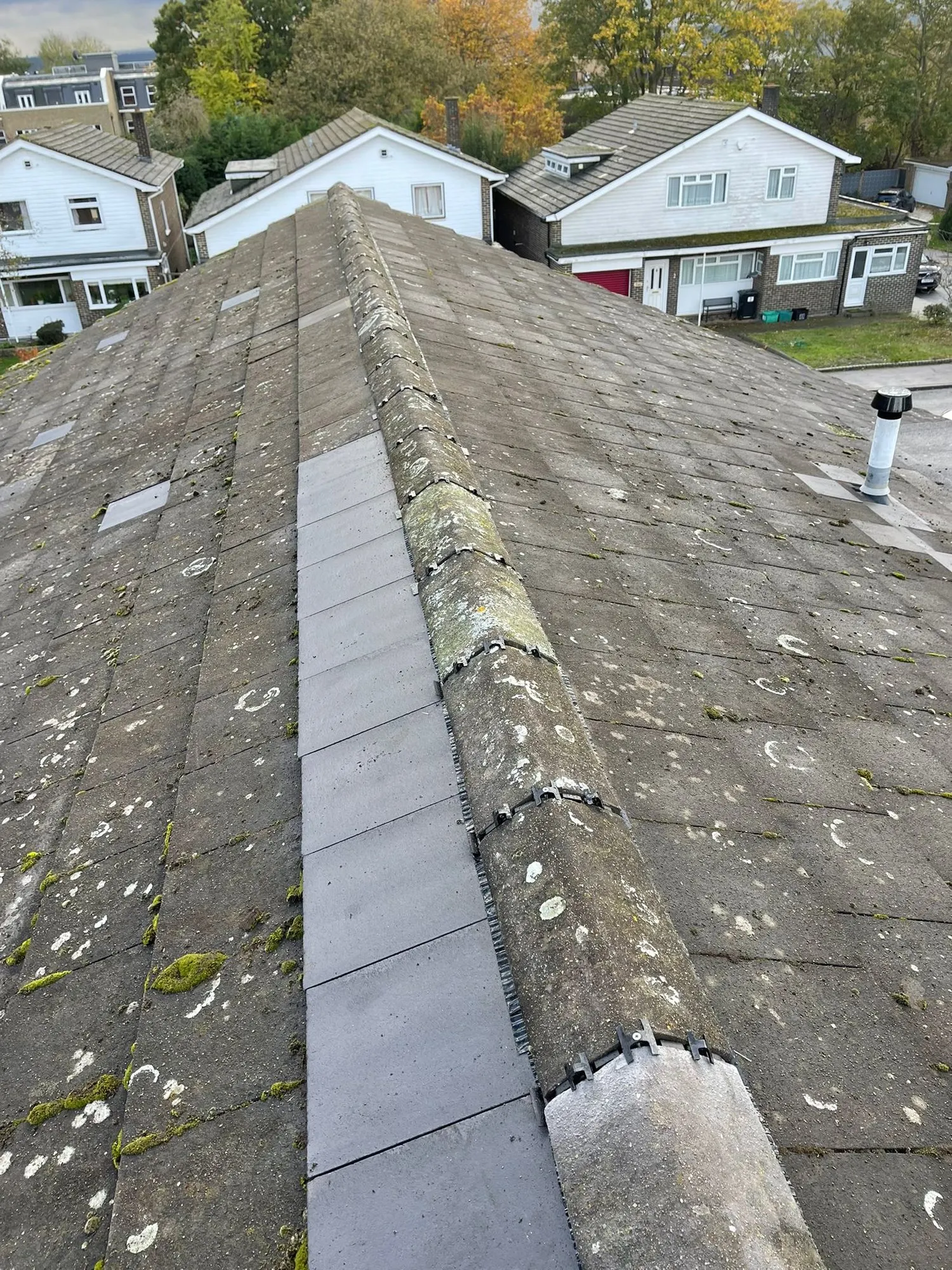 Dry ridge system fitted along a ridge