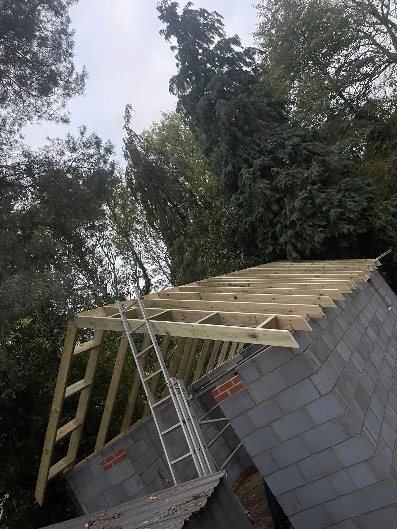 New roof timbers on block walls