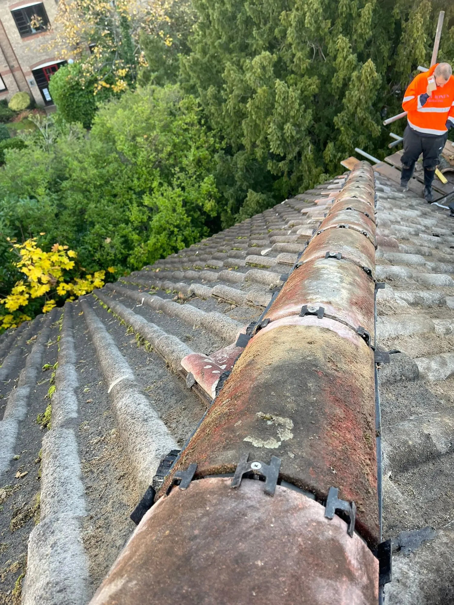 Old moss-covered tiled roof
