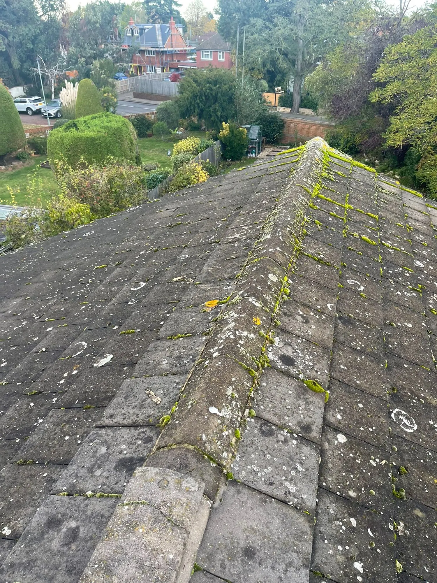 Old moss-covered tiled roof